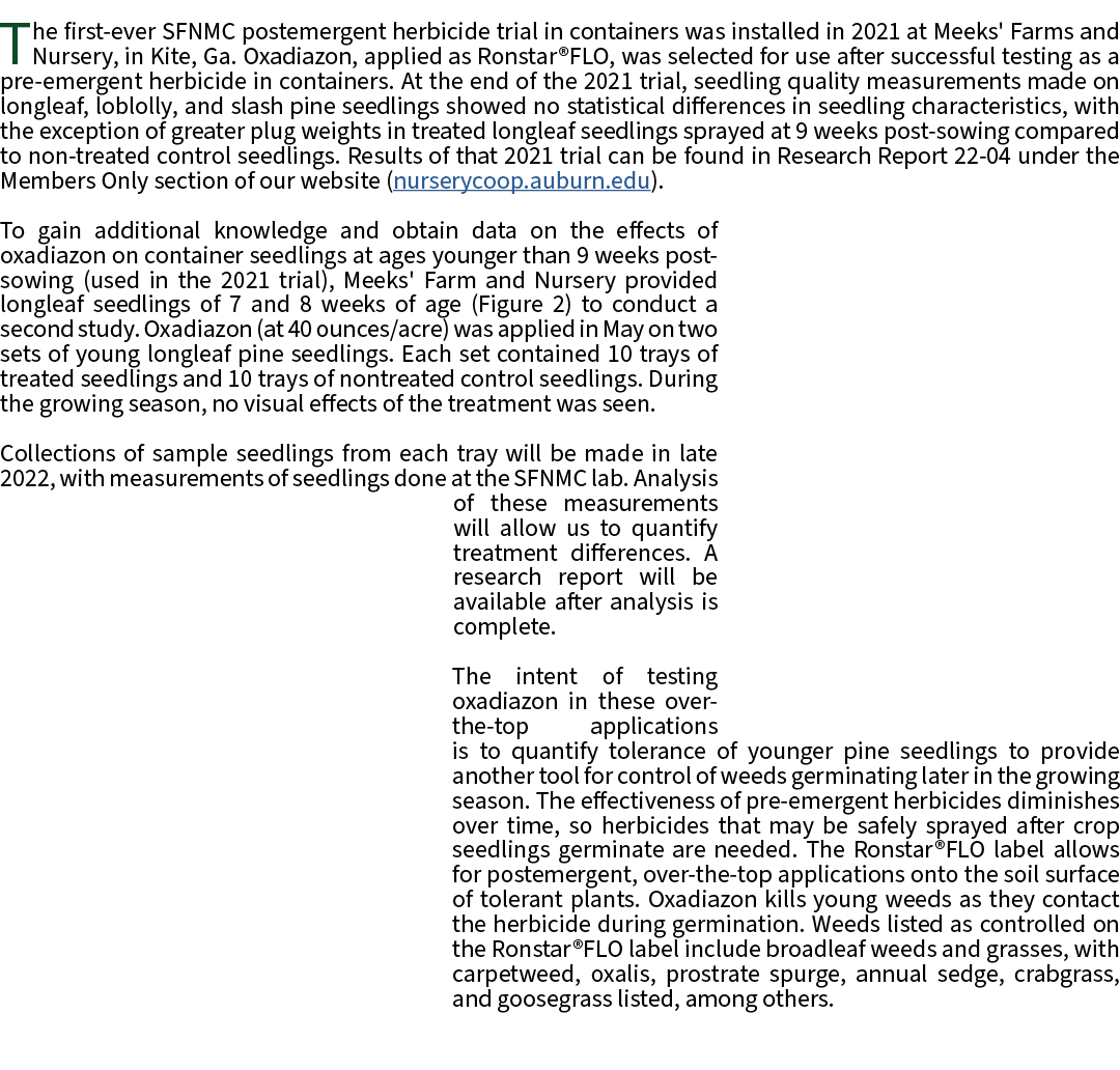 The first ever SFNMC postemergent herbicide trial in containers was installed in 2021 at Meeks' Farms and Nursery, in...