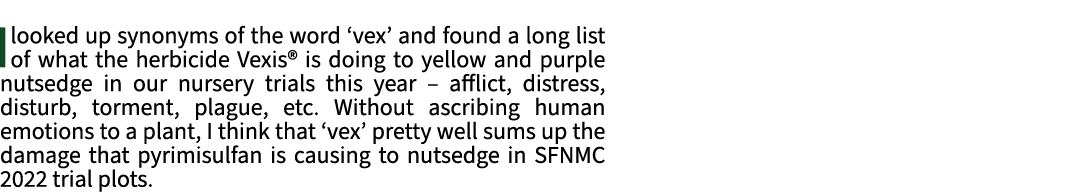 I looked up synonyms of the word ‘vex’ and found a long list of what the herbicide Vexis® is doing to yellow and purp...