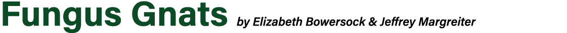 ﻿Fungus Gnats by Elizabeth Bowersock & Jeffrey Margreiter