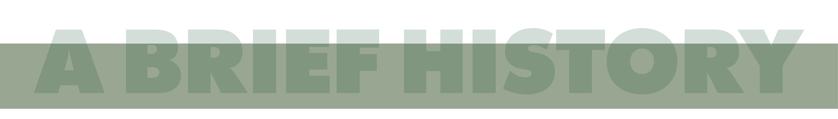 ﻿A Brief History