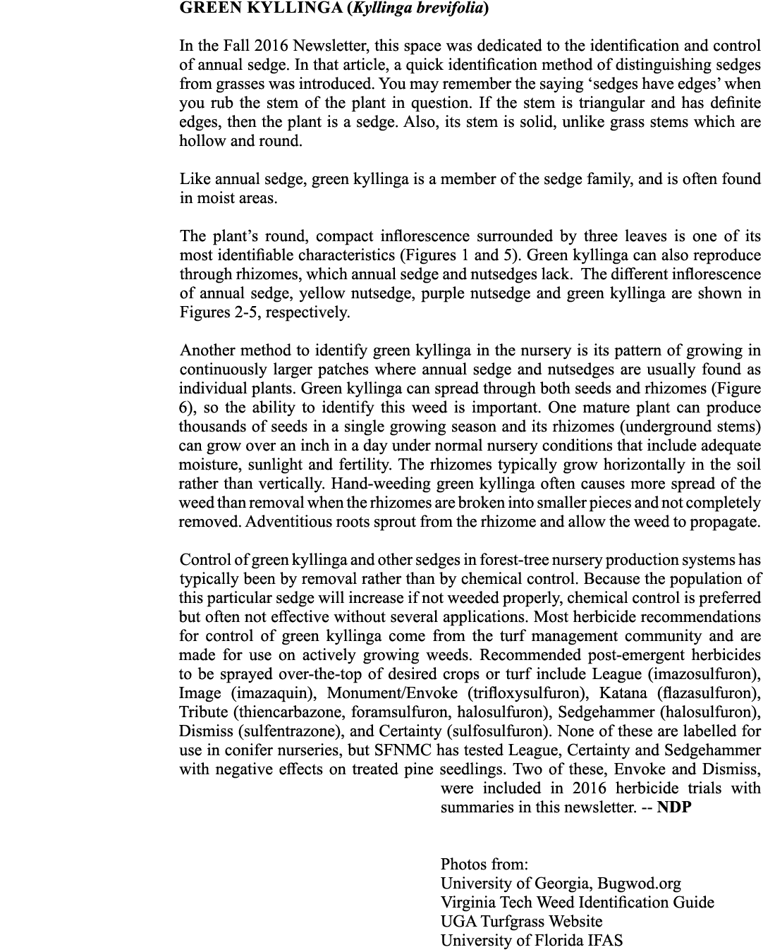 green kyllinga (Kyllinga brevifolia) In the Fall 2016 Newsletter, this space was dedicated to the identification and ...