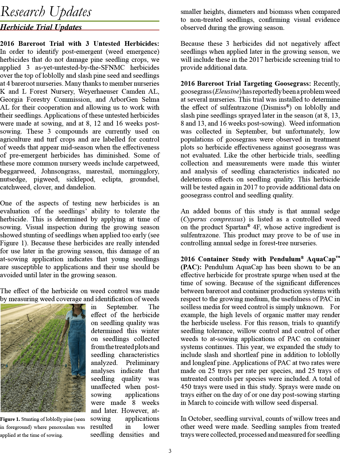 smaller heights, diameters and biomass when compared to non treated seedlings, confirming visual evidence observed du...