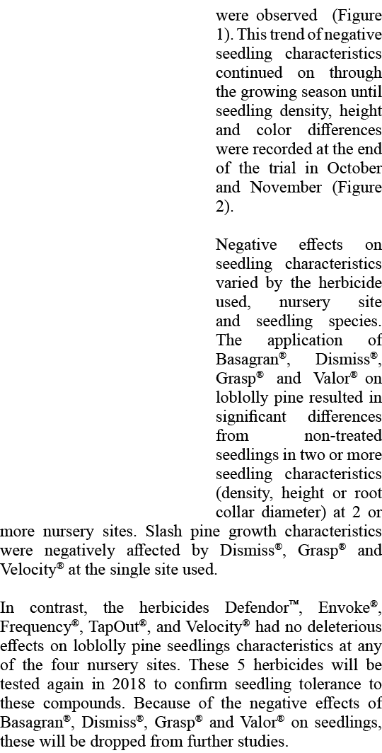 were observed (Figure 1). This trend of negative seedling characteristics continued on through the growing season unt...