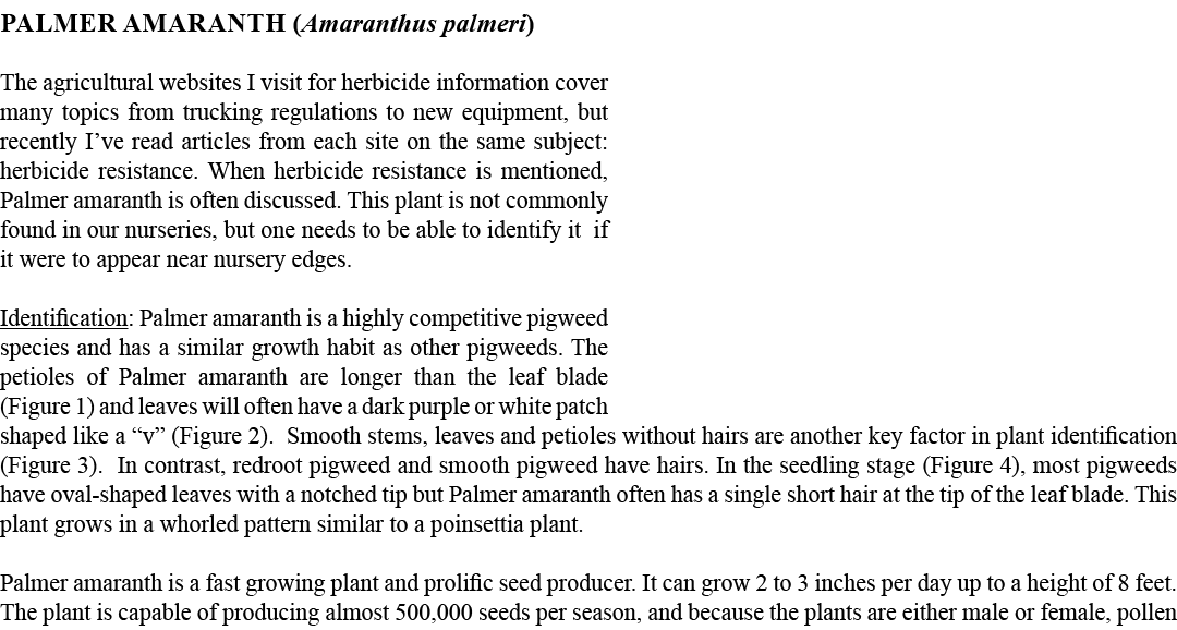 PALMER amaranth (Amaranthus palmeri) The agricultural websites I visit for herbicide information cover many topics fr...