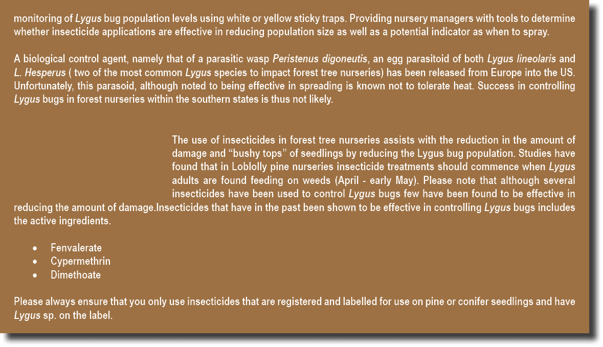 monitoring of Lygus bug population levels using white or yellow sticky traps. Providing nursery managers with tools t...