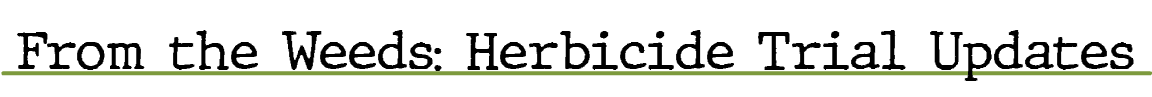 From the Weeds: Herbicide Trial Update