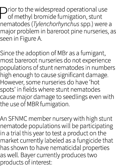 ﻿Prior to the widespread operational use of methyl bromide fumigation, stunt nematodes (Tylenchorhynchus spp.) were a...