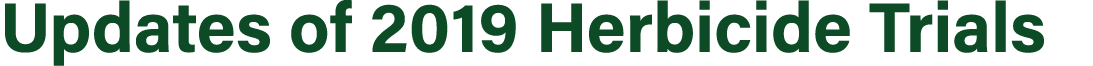 ﻿Updates of 2019 Herbicide Trials