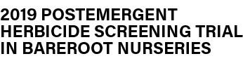 ﻿2019 Postemergent Herbicide Screening Trial in Bareroot Nurseries 