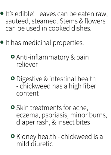 • It’s edible! Leaves can be eaten raw, sauteed, steamed. Stems & flowers can be used in cooked dishes. • It has medi...