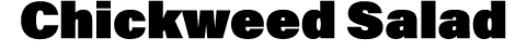 ﻿Chickweed Salad