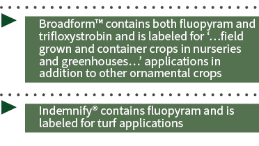 ▶ Broadform™ contains both fluopyram and trifloxystrobin and is labeled for ‘…field grown and container crops in nurs...