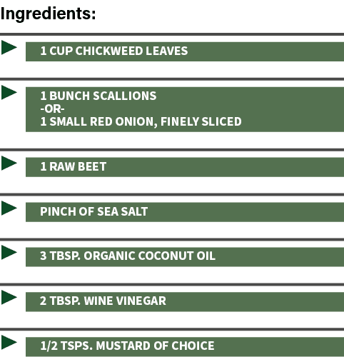 ﻿Ingredients:, ▶ 1 cup chickweed leaves ▶ 1 bunch scallions or 1 small red onion, Finely sliced ▶ 1 Raw beet ▶ pinch ...