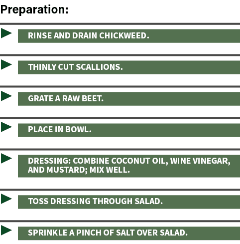  ▶ Rinse and drain chickweed. ▶ thinly cut scallions. ▶ Grate a raw beet. ▶ Place in Bowl. ▶ Dressing: Combine coconu...