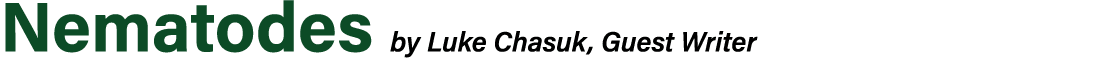 Nematodes by Luke Chasuk, Guest Writer