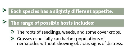 ▷ Each species has a slightly different appetite. ▷ The range of possible hosts includes: » The roots of seedlings, w...
