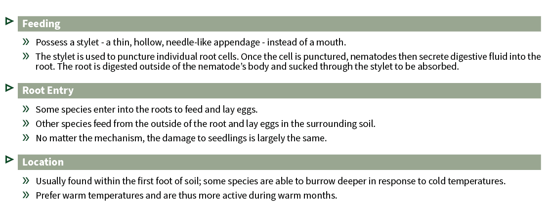 ▷ Feeding » Possess a stylet a thin, hollow, needle like appendage instead of a mouth. » The stylet is used to punctu...