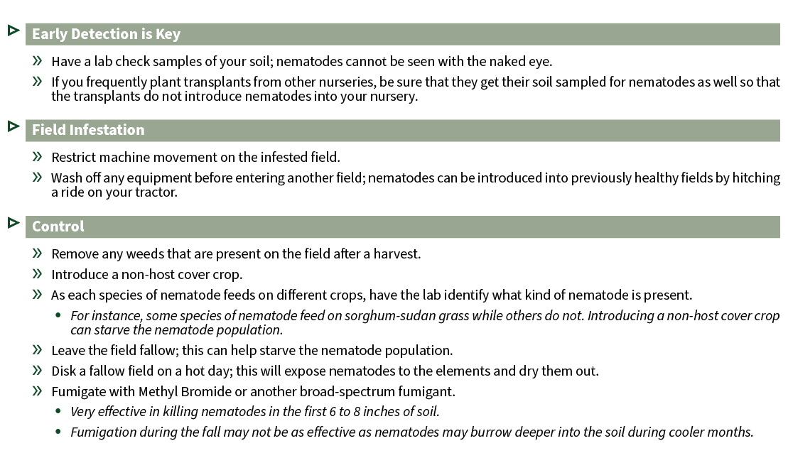 ▷ Early Detection is Key » Have a lab check samples of your soil; nematodes cannot be seen with the naked eye. » If y...