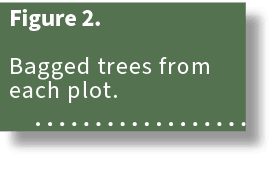 Figure 2. Bagged trees from each plot. 