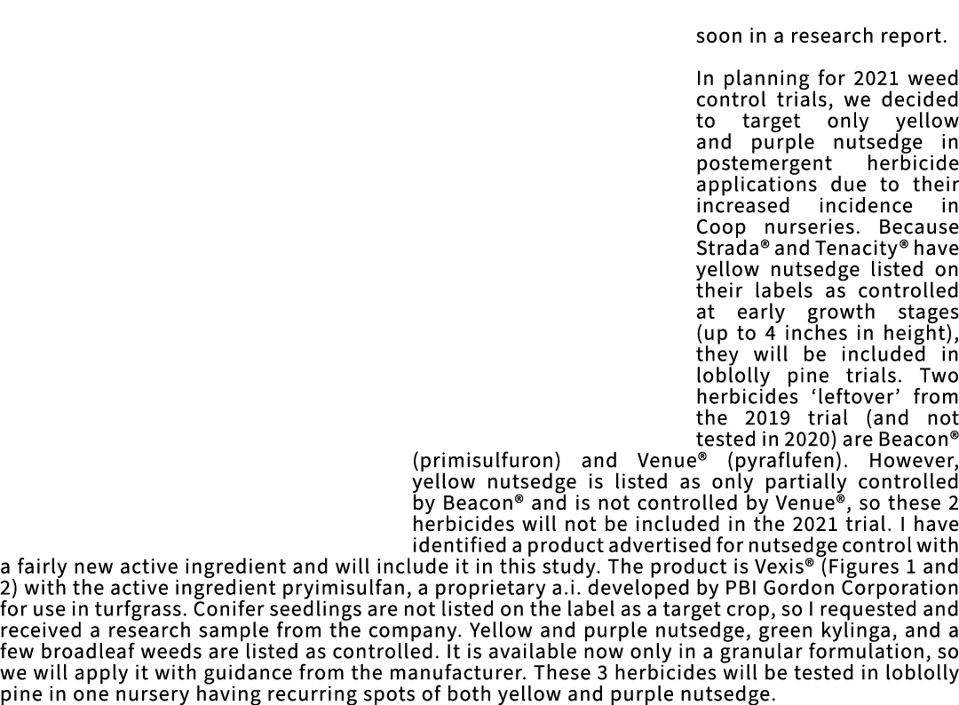 soon in a research report. In planning for 2021 weed control trials, we decided to target only yellow and purple nuts...