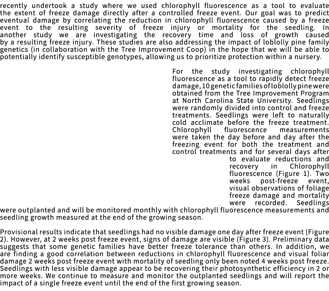 recently undertook a study where we used chlorophyll fluorescence as a tool to evaluate the extent of freeze damage d...