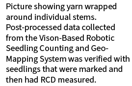 Picture showing yarn wrapped around individual stems. Post processed data collected from the Vison Based Robotic Seed...