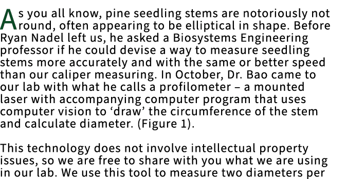 As you all know, pine seedling stems are notoriously not round, often appearing to be elliptical in shape. Before Rya...