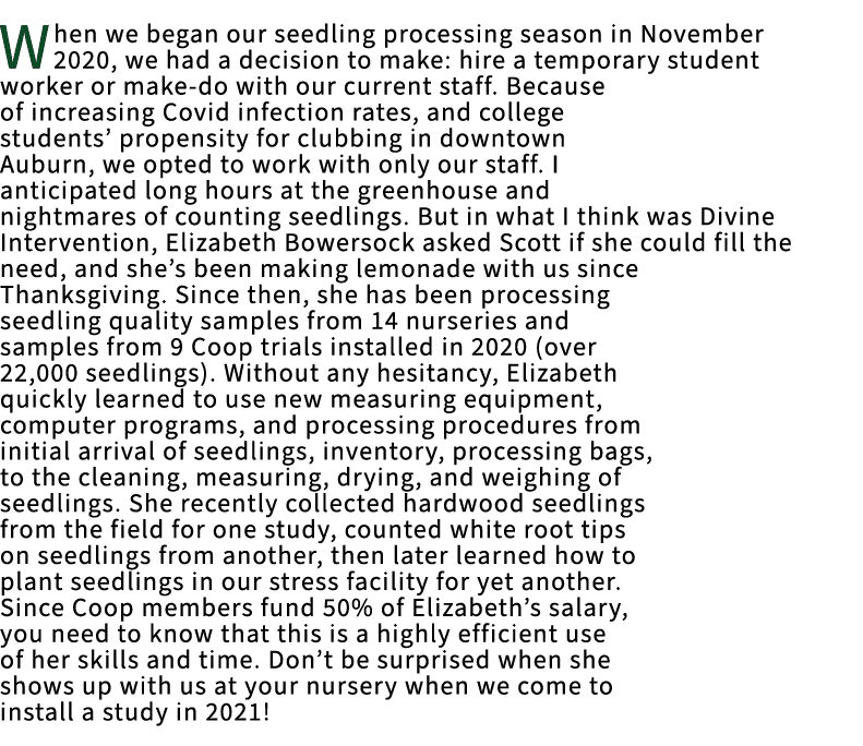 When we began our seedling processing season in November 2020, we had a decision to make: hire a temporary student wo...