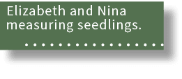 Elizabeth and Nina measuring seedlings. 
