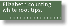 Elizabeth counting white root tips. 