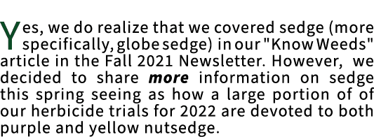 Being able to distinguish...