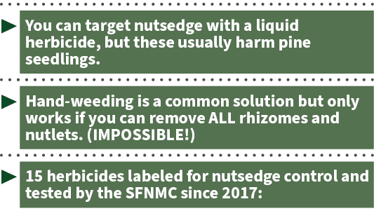 ▶ You can target nutsedge with a liquid herbicide, but these usually harm pine seedlings. ▶ Hand weeding is a common ...