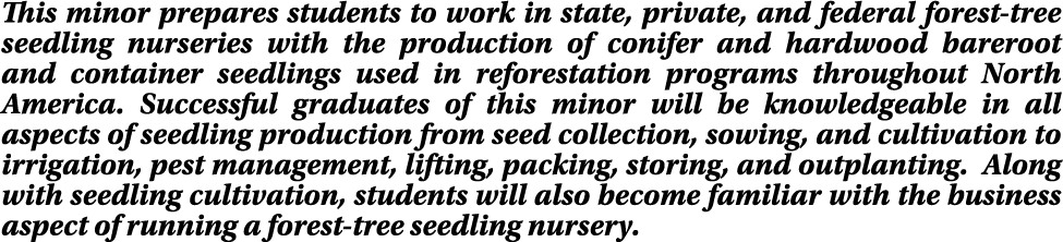 This minor prepares students to work in state, private, and federal forest tree seedling nurseries with the productio...
