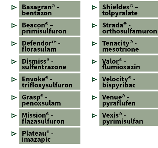 ▷ Basagran® bentazon ▷ Beacon® – primisulfuron ▷ Defendor™ florasulam ▷ Dismiss® sulfentrazone ▷ Envoke® trifloxysulf...