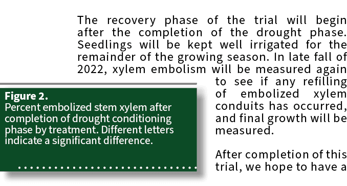 Figure 2. Percent embolized stem xylem after completion of drought conditioning phase by treatment. Different letters...