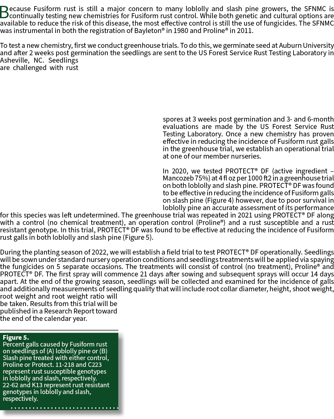 Because Fusiform rust is still a major concern to many loblolly and slash pine growers, the SFNMC is continually test...