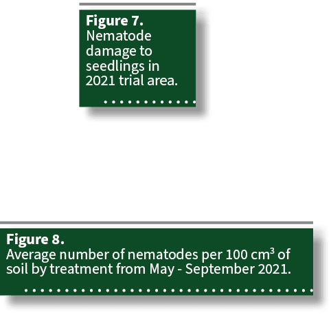 Figure 8. Average number of nematodes per 100 cm3 of soil by treatment from May September 2021. ,Figure 7. Nematode d...