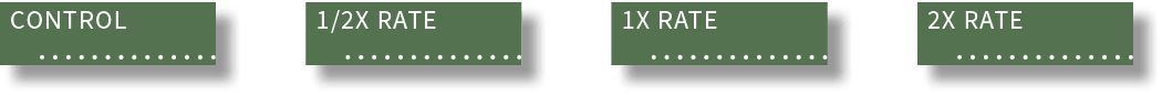 2X RATE ,1X RATE ,1/2X RATE ,CONTROL