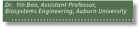 Dr. Yin Bao, Assistant Professor, Biosystems Engineering, Auburn University 