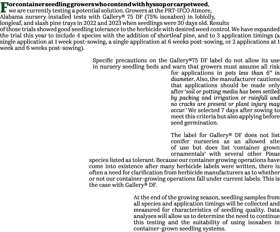 For container seedling growers who contend with hyssop or carpetweed, we are currently testing a potential solution. ...