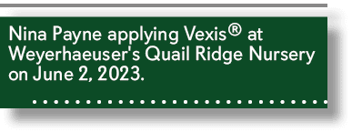 Nina Payne applying Vexis® at Weyerhaeuser's Quail Ridge Nursery on June 2, 2023. 