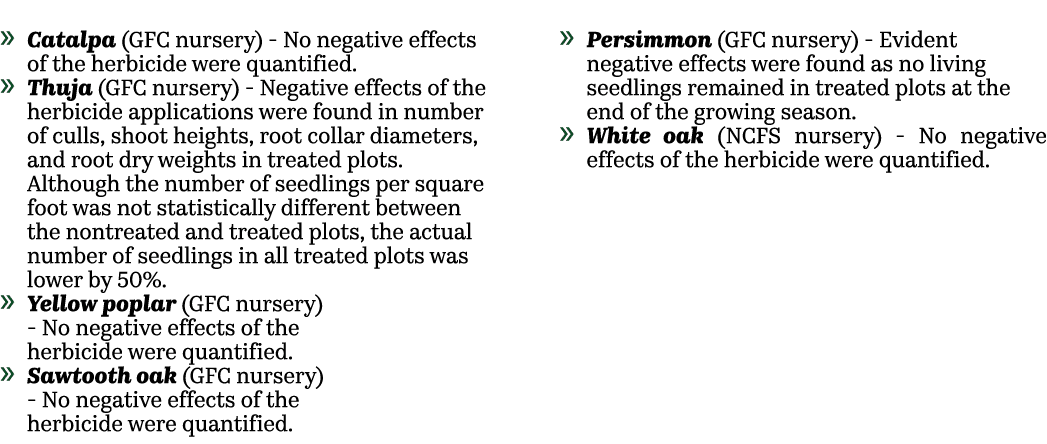 » Catalpa ﻿(GFC nursery) No negative effects of the herbicide were quantified. » Thuja (GFC nursery) Negative effects...