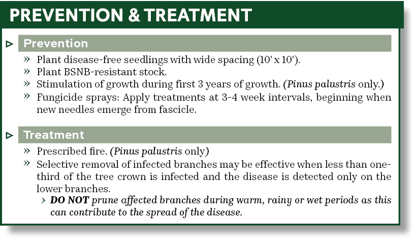 Prevention & Treatment
