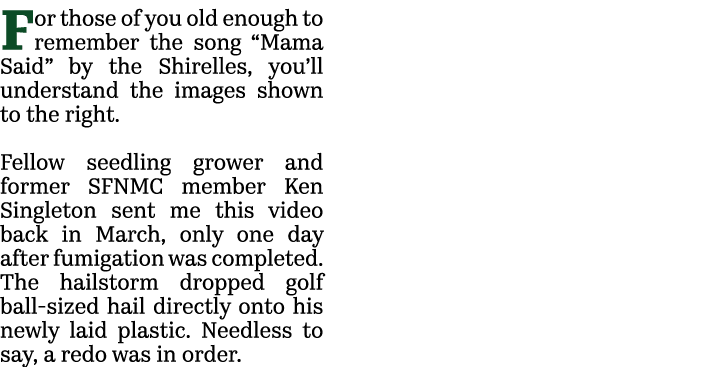 For those of you old enough to remember the song “Mama Said” by the Shirelles, you’ll understand the images shown to ...