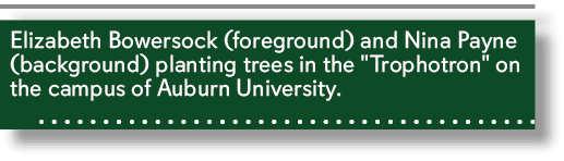 Elizabeth Bowersock (foreground) and Nina Payne (background) planting trees in the \“Trophotron\" on the campus of Au...