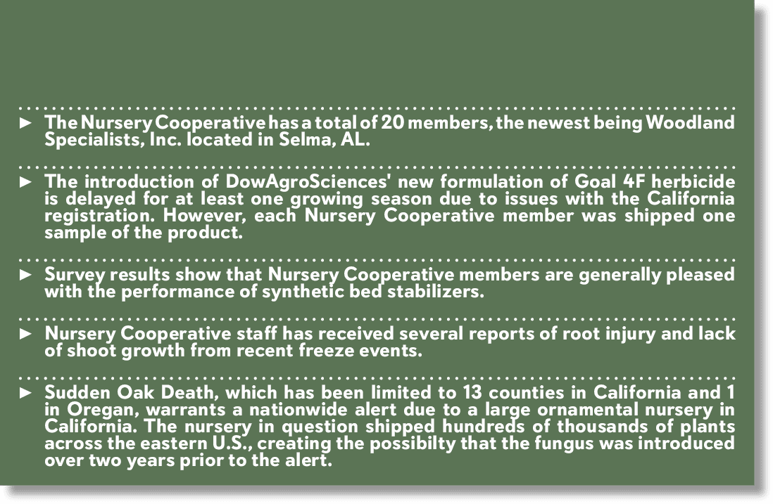 20 Years Ago - Article