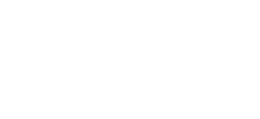 Interim Director