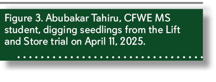 Figure 3. Abubakar Tahiru, CFWE MS student, digging seedlings from the Lift and Store trial on April 11, 2025. 