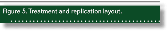 Figure 5. Treatment and replication layout. 