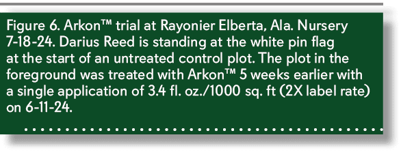 Figure 6. Arkon™ trial at Rayonier Elberta, Ala. Nursery 7 18 24. Darius Reed is standing at the white pin flag at th...